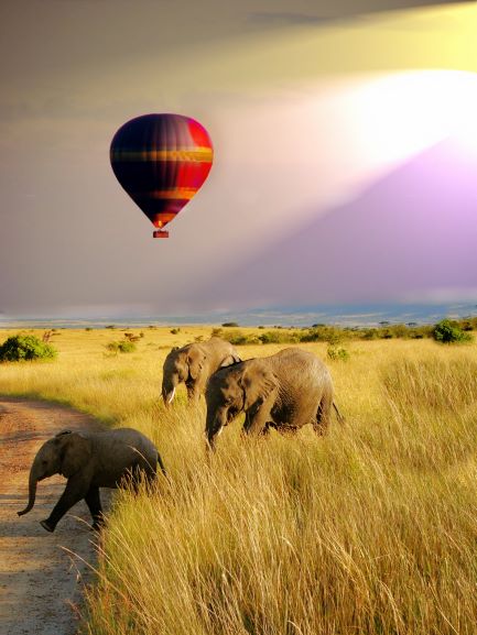 Ten Reasons to Book with African Travel Agents